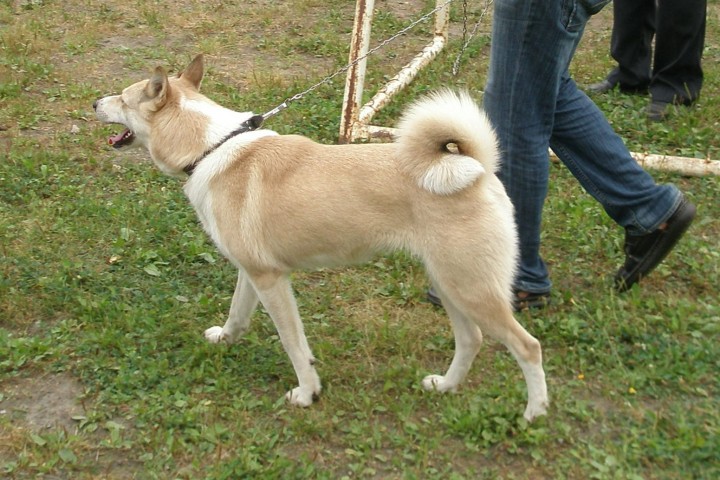 P1010186.JPG