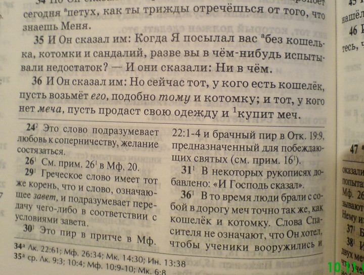923816.jpg