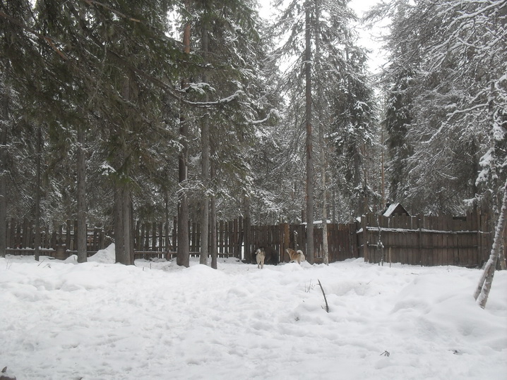 SDC11765.JPG
