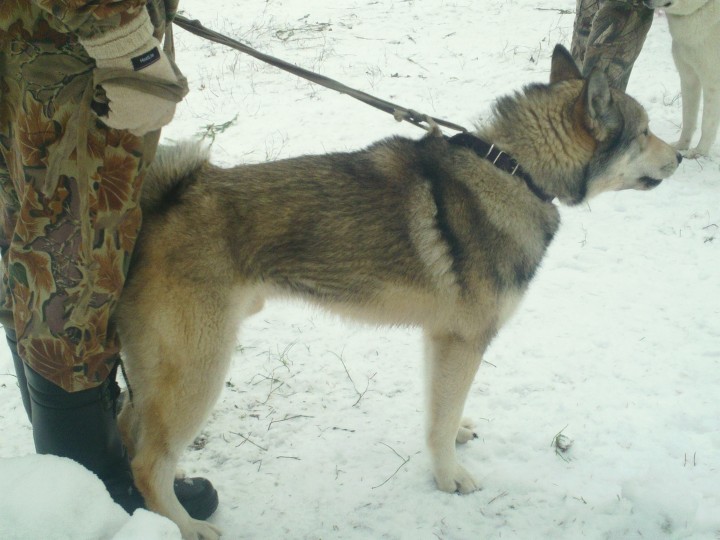 SAM_0487.JPG