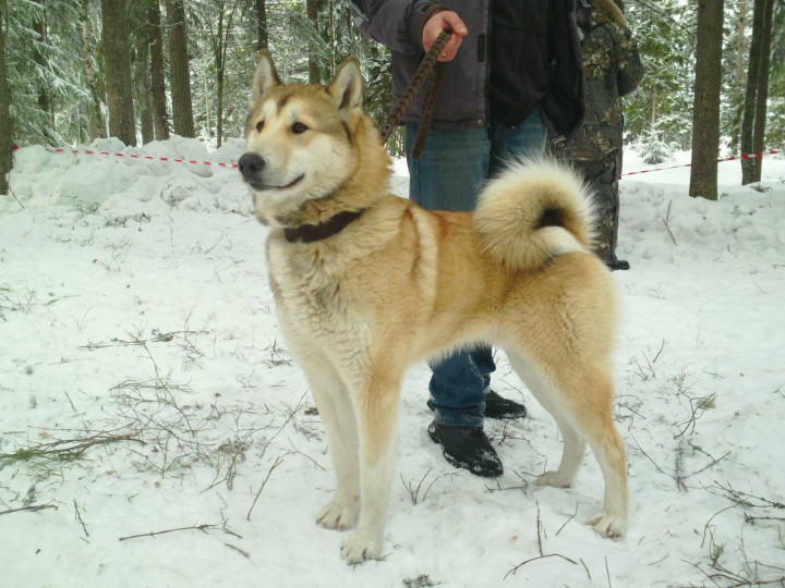 SAM_0428.JPG