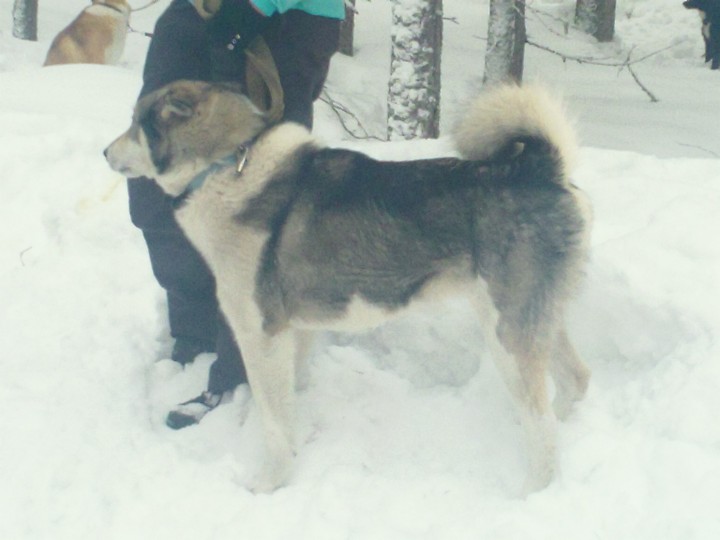 SAM_0453.JPG