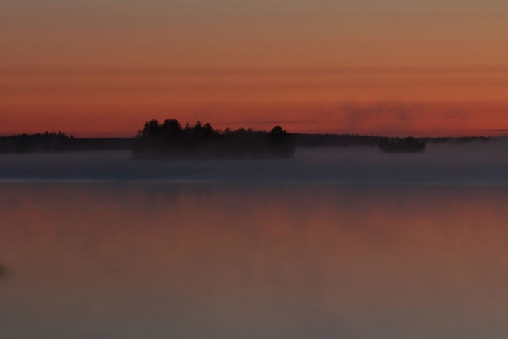 IMG_7274.jpg