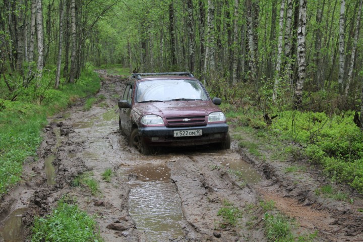 IMG_7279.jpg