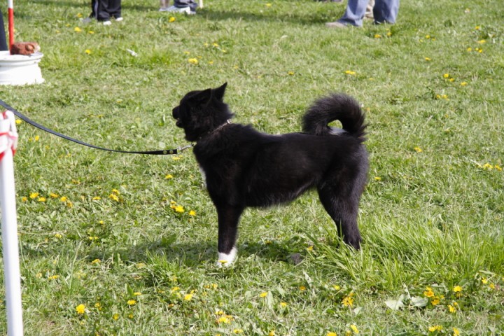DPP_0008.JPG
