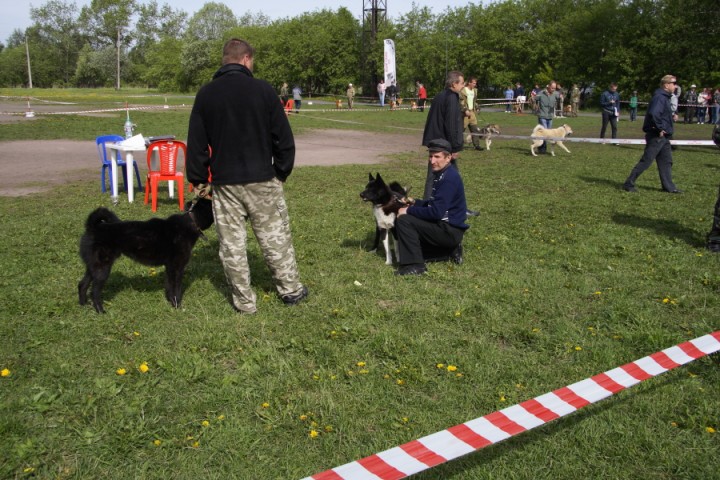 DPP_0009.JPG