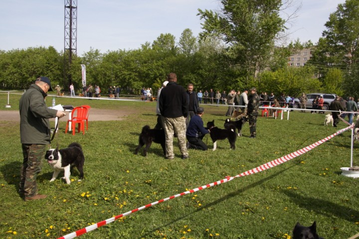 DPP_0010.JPG
