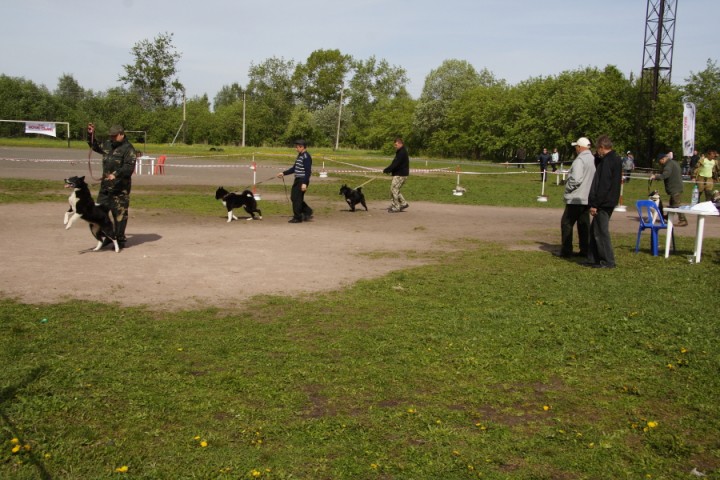DPP_0011.JPG