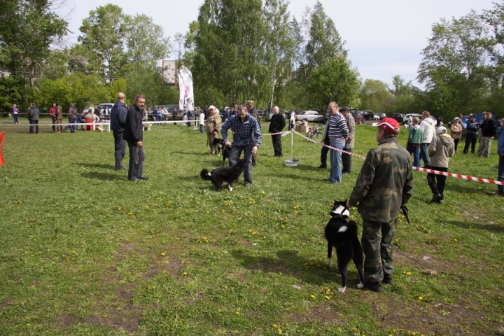 DPP_0016.JPG