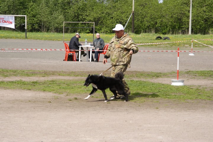 DPP_0017.JPG