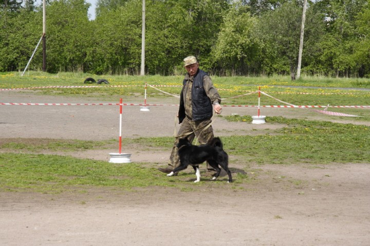 DPP_0018.JPG