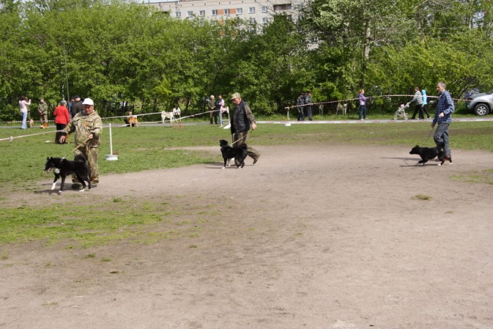 DPP_0021.JPG