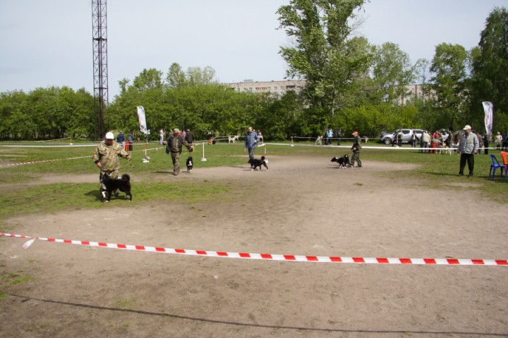 DPP_0022.JPG