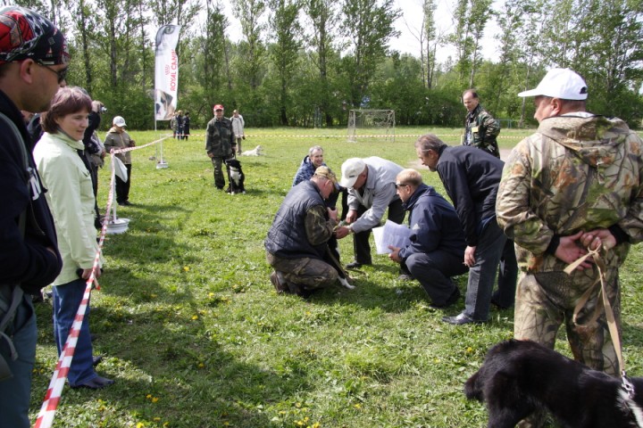 DPP_0023.JPG