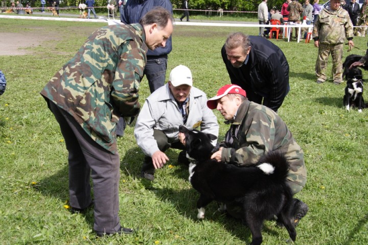 DPP_0025.JPG