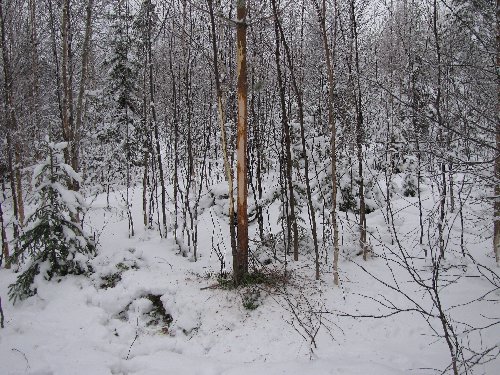 Р?Р·РѕР±СЂР°Р¶РµРЅРёРµ 328.jpg