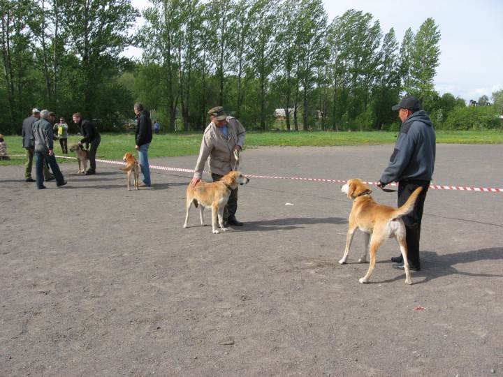 IMG_1320.jpg (927.23 КБ) 3724 просмотра IMG_1320.jpg