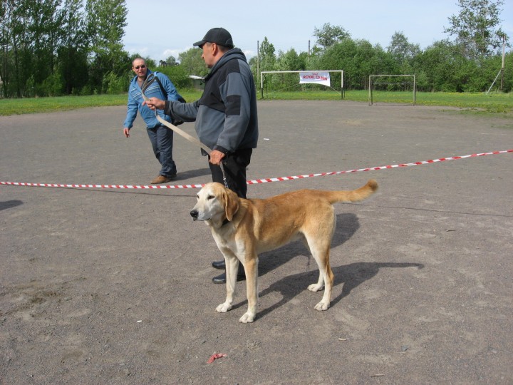 IMG_1321.jpg (794.13 КБ) 4048 просмотров IMG_1321.jpg