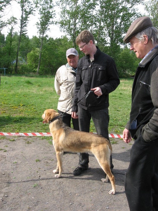 IMG_1325.jpg (936.36 КБ) 3723 просмотра IMG_1325.jpg