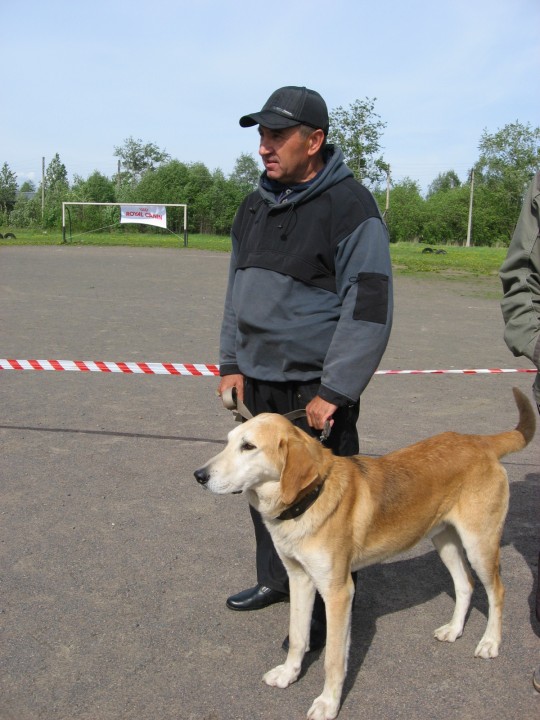 IMG_1328.jpg (655.81 КБ) 4045 просмотров IMG_1328.jpg