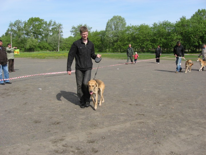 IMG_1330.jpg (699.71 КБ) 3720 просмотров IMG_1330.jpg