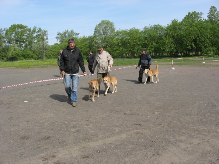 IMG_1331.jpg (734.19 КБ) 4044 просмотра IMG_1331.jpg