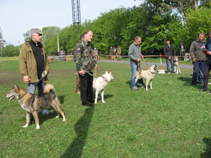 IMG_1340.jpg (1.03 МБ) 3720 просмотров IMG_1340.jpg