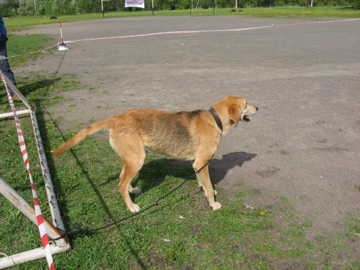 IMG_1351.jpg (923.1 КБ) 3991 просмотр IMG_1351.jpg
