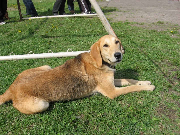 IMG_1354.jpg (1.06 МБ) 3989 просмотров IMG_1354.jpg