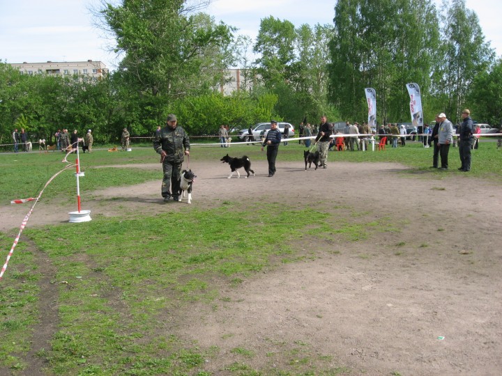 IMG_1356.jpg (974.51 КБ) 3989 просмотров IMG_1356.jpg