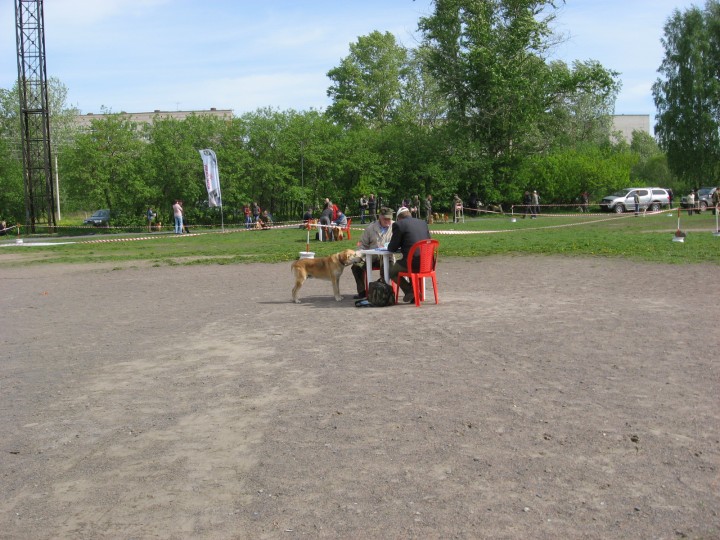 IMG_1358.jpg (858.8 КБ) 3988 просмотров IMG_1358.jpg