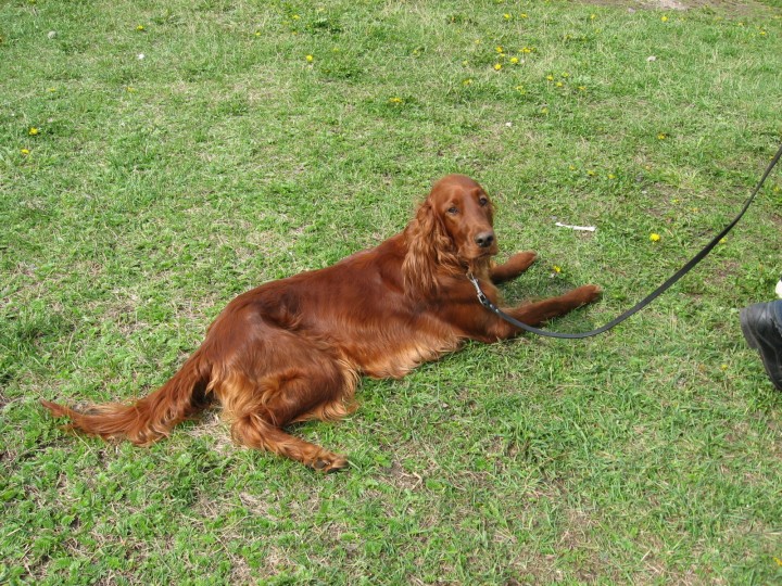 IMG_1362.jpg (1.26 МБ) 5142 просмотра IMG_1362.jpg