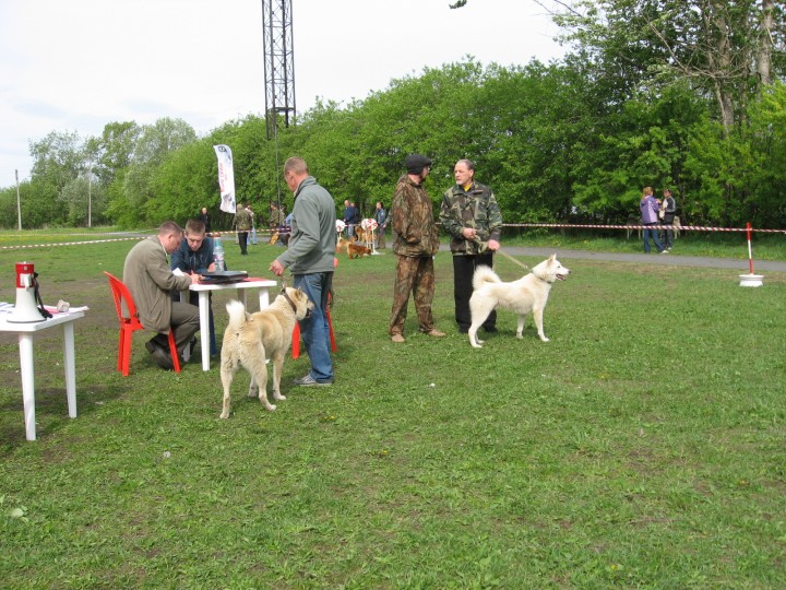 IMG_1365.jpg (993.52 КБ) 4870 просмотров IMG_1365.jpg