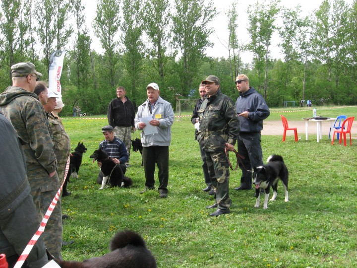 IMG_1367.jpg (1017.59 КБ) 5143 просмотра IMG_1367.jpg