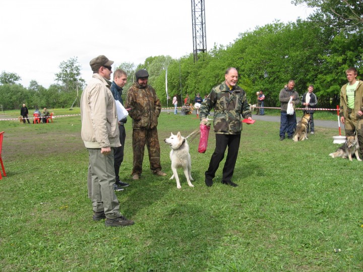 IMG_1369.jpg (953.22 КБ) 4870 просмотров IMG_1369.jpg