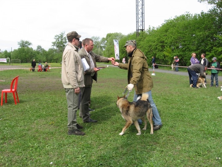 IMG_1370.jpg (916.6 КБ) 5140 просмотров IMG_1370.jpg