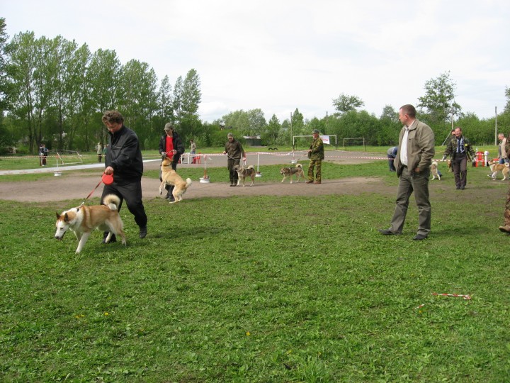 IMG_1374.jpg (904.07 КБ) 4869 просмотров IMG_1374.jpg
