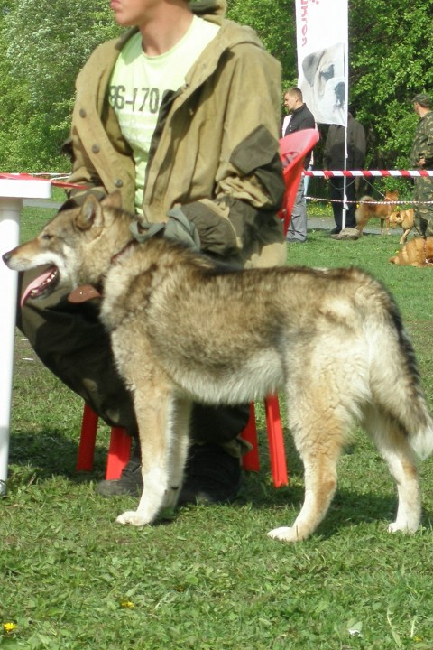 P1010275.JPG