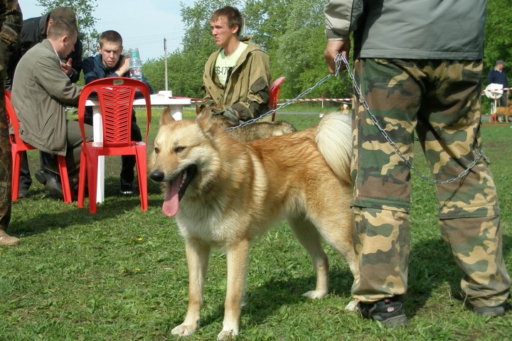 P1010277.JPG