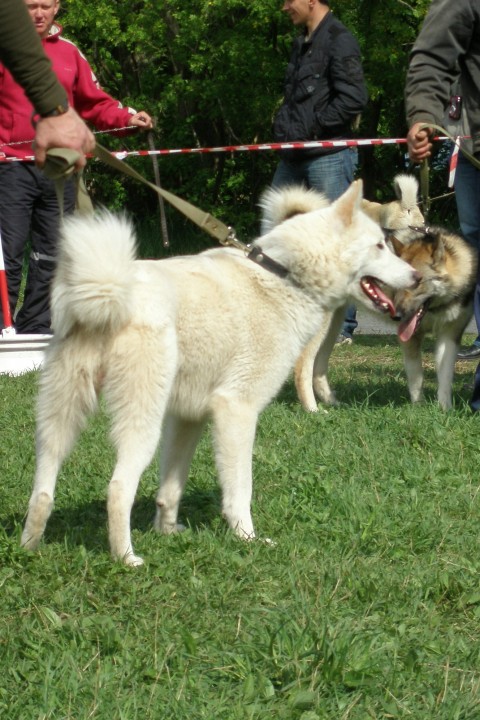 P1010283.JPG
