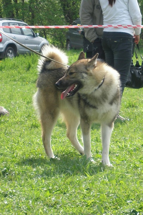 P1010285.JPG