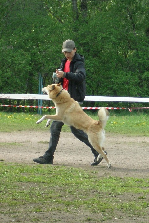 P1010293.JPG