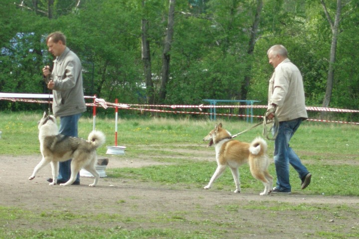 P1010294.JPG