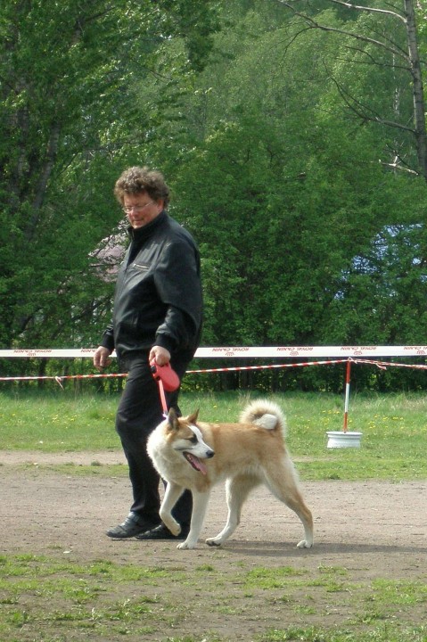 P1010309-1.JPG