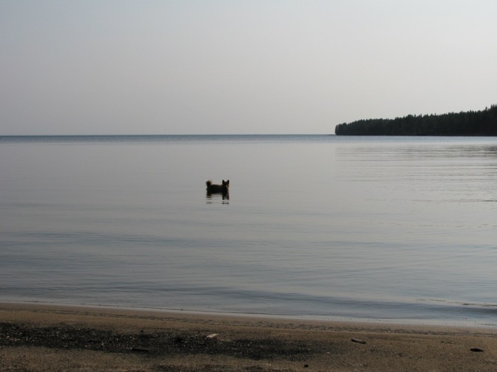 55.jpg