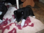 DSCF1035.JPG