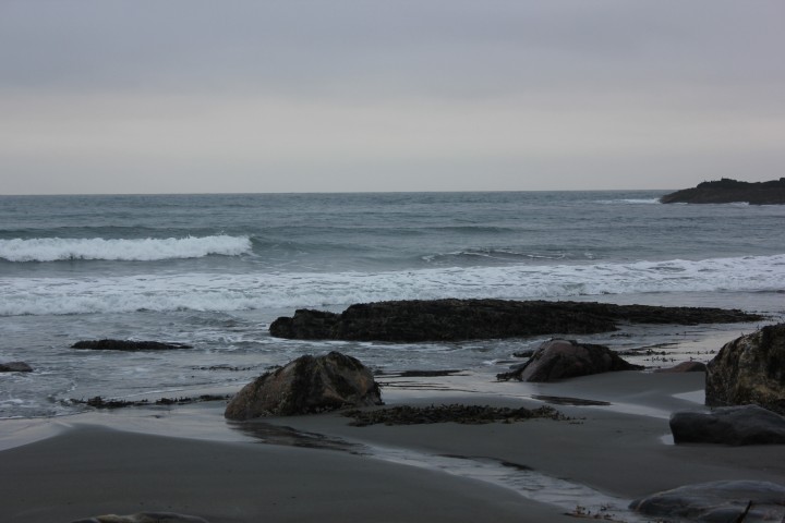 IMG_8018.JPG
