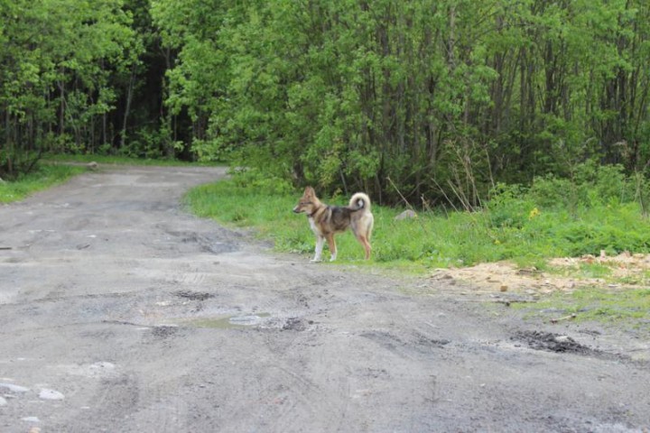 девочка на прогулке, возраст 4 месяца 3 дня...