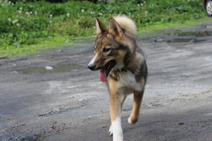 красуемся... :)