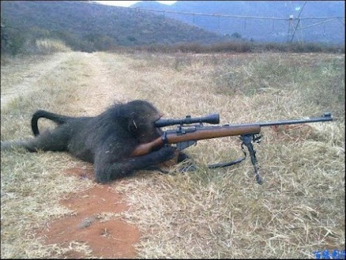 e9HoH4KnhFw.jpg